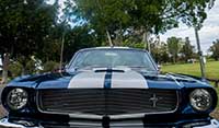 Full front view of East Coast's Blue Shelby 1965 Mustang Fastback muscle car with Wimbledon white lemans stripes
